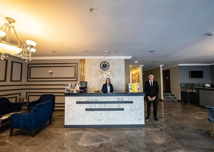 فندق Hamit Kizilay 4*