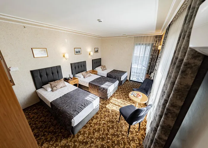 Hamit Kizilay 4* أنقرة